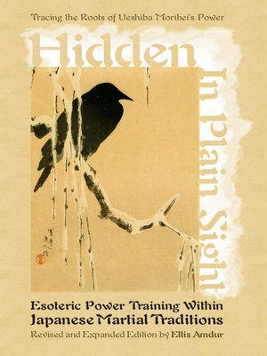 cover image of Hidden in Plain Sight